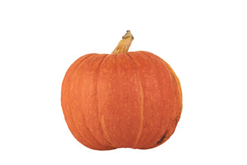 Round orange pumpkin. PNG, transparent background.