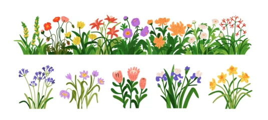 Tuinposter Blossomed garden flowers, floral border. Blooming plants set. Botanical decoration, spring and summer wildflowers, iris, daffodil, protea. Flat vector illustrations isolated on white background © Good Studio