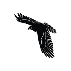 Raven bird silhouette vector ilustration design isolated