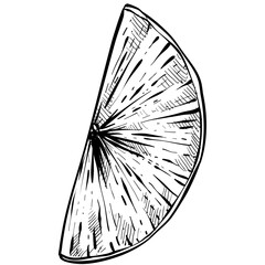 Obraz premium lime handdrawn illustration