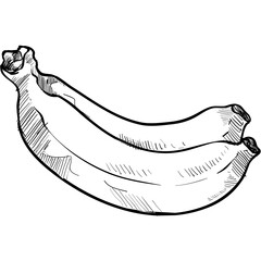 banana handdrawn illustration