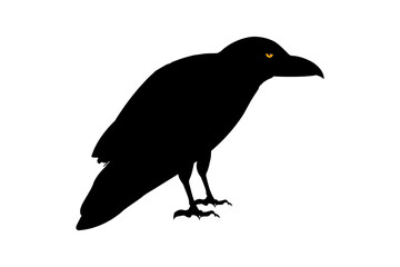 raven silhouette Flat Icon illustration Clipart