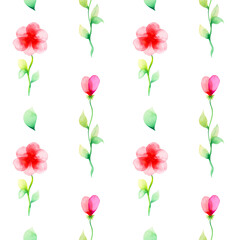 Watercolor pink flowers pattern isolated on a white background.