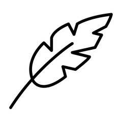 Feather Icon