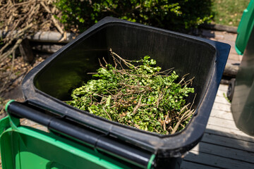 Green garden waste in bin. Spring garden cleaning.