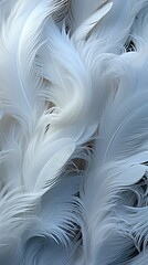 
Texture soft feather white background screensaver wallpaper