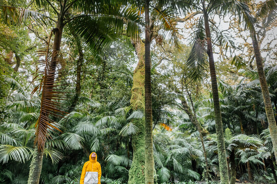 Man standing under palm trees in rainforest