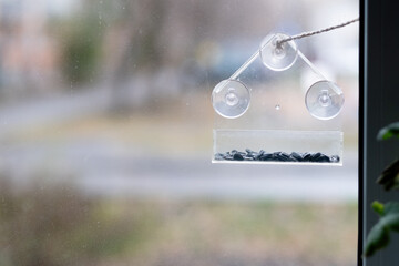 empty transparent bird feeder with sunflower seeds on the window, close-up - obrazy, fototapety, plakaty