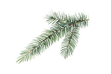 watercolor coniferous branches, Christmas tree, hand drawn sketch of green fir branches, natural pine branch isolated on white background, natural forest tree illustration - obrazy, fototapety, plakaty