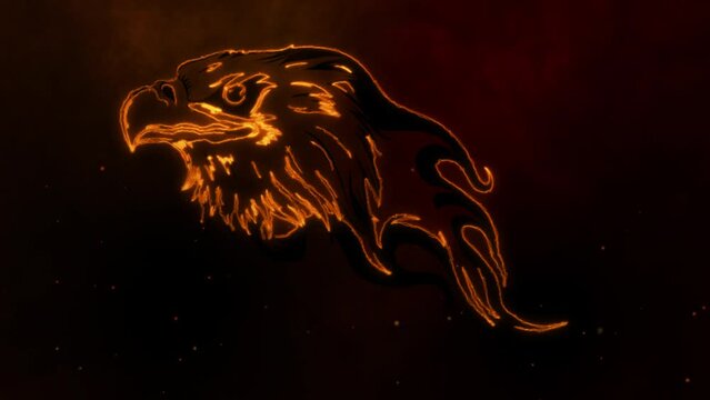 head Eagle with flames