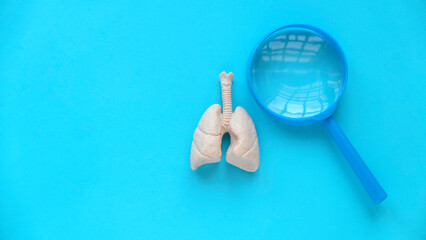 World pneumonia day,tuberculosis TB day,Lung Health Day,asthma day. Medical examine. Healthcare...