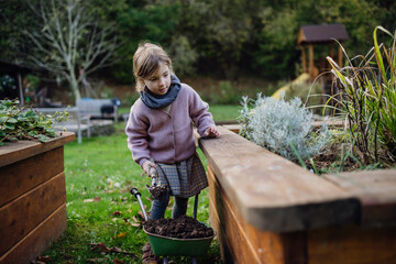 Little girl taking care of plants in garden, during first spring days. Concept of water...