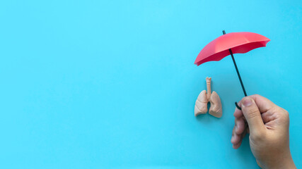 World pneumonia day,tuberculosis TB day,Lung Health Day,asthma day. Healthcare banner.  Hand holding red umbrella with cover lungs model. - obrazy, fototapety, plakaty