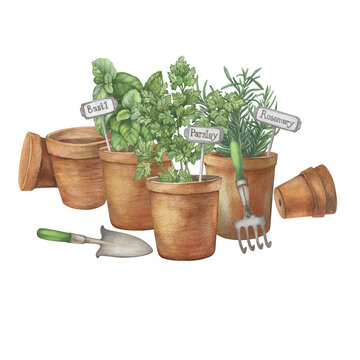 herb garden in terracotta pots clip art preview