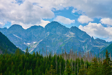 Amazing view on mountains range near forest trees at summer day. Tatra National Park in Poland