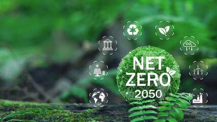 Net zero and carbon neutral concept. Net zero greenhouse gas emissions target. Climate neutral long term strategy. Close up earth on nature background. - obrazy, fototapety, plakaty