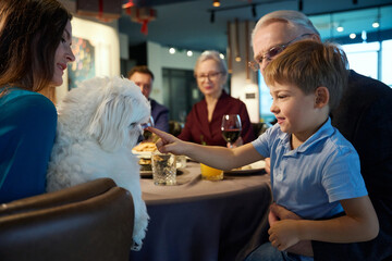 Little boy patting dog while celebrating New Years eve with his family