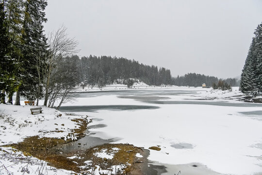 Lenzerheide, Valbella, Heidsee, Bergsee, Uferweg, Wanderweg, Winterwanderung, Langlauf, Loipe, Winterlandschaft, Seeufer, Alpen, Wald, Tannen, Eis, Winter, Schnee, Schneefall, Graub&uuml;nden, Schweiz