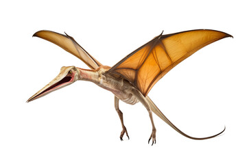 Pteranodon Toy Figure isolated on transparent background