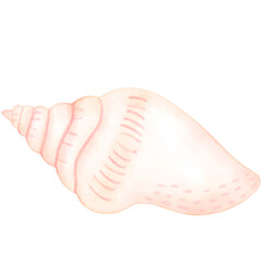Sea shell, shell, under the sea