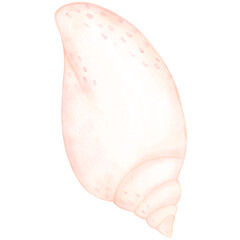 Sea shell, shell, under the sea