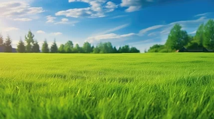 Fotobehang Beautiful blurred background image of spring nature with a neatly trimmed lawn surrounded by trees against a blue sky with clouds on a bright sunny day. © Nice Seven