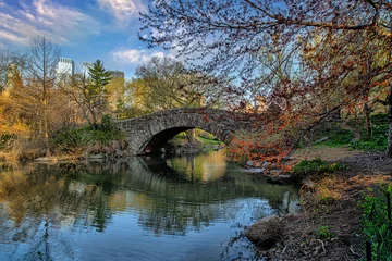 Photo sur Plexiglas Pont de Gapstow Gapstow Bridge in Central Park,late autumn