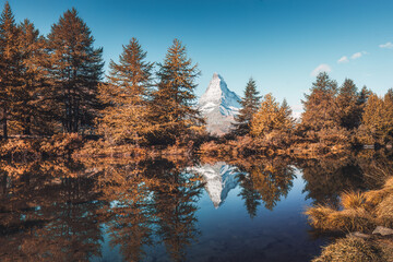 Matterhorn mountain with golden pine forest reflection in autumn at Grindjisee lake, Switzerland