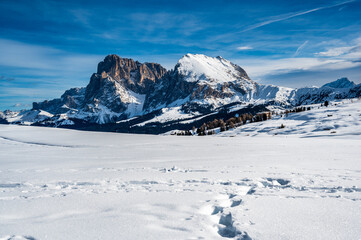 Fototapeta na wymiar The largest high altitude plateau in Europe in winter. Snow and winter atmosphere on the Alpe di Siusi. Dolomites.