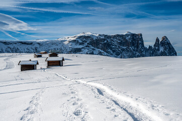 The largest high altitude plateau in Europe in winter. Snow and winter atmosphere on the Alpe di...