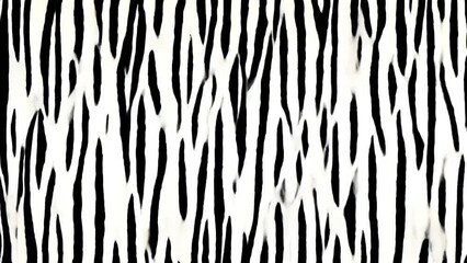 Black and white zebra stripes with a glitchy effect - Powered by Adobe