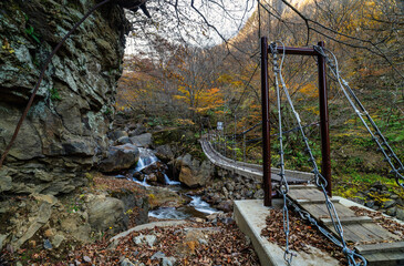 米子大瀑布登山道のつり橋