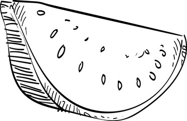 watermelon handdrawn illustration
