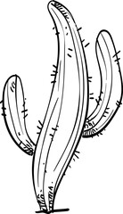 cactus handdrawn illustration