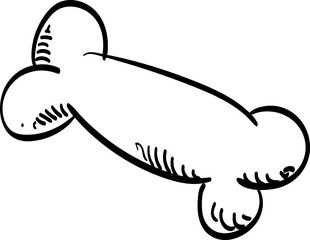 bone dog toy handdrawn illustration