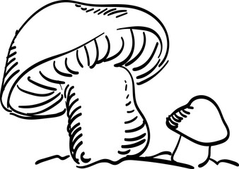 mushroom handdrawn illustration