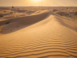 Fantastic view of Landscape with Sand Dune at sunset, Liwa Oasis, Abu Dhabi, UAE. Water crisis and...