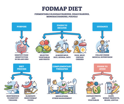 Fodmap diet as recommendations for irritable bowel syndrome outline diagram. Labeled educational eating habits suggestion and guidance for patient with digestive medical problems vector illustration.