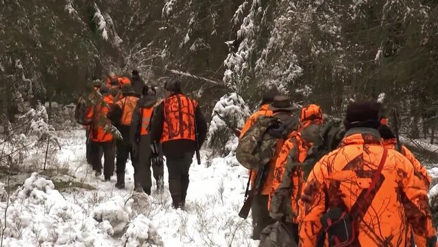 hunters are walking in a group through the winter forest. hunting in a corral