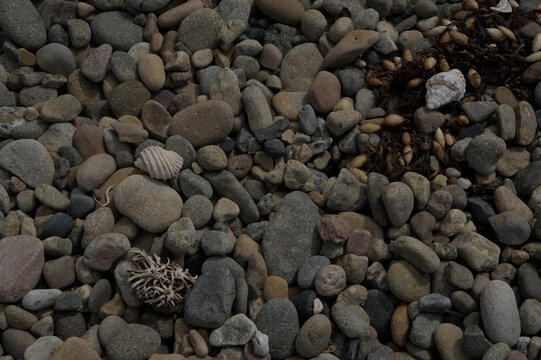pebbles on the beach