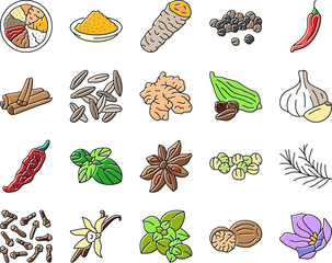 spice food herb leaf icons set vector. ginger vanilla, seasoning cinnamon, garlic salt, pepper kitchen mint, indian spice food herb leaf color line illustrations
