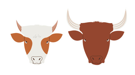 Bull and cow portraits, domestic animals heads. Hand drawn isolated vector illustration in flat design