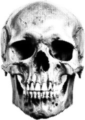 Halftone Human Skull Illustration - obrazy, fototapety, plakaty