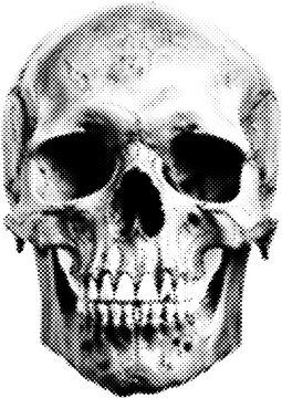 Halftone Human Skull Illustration