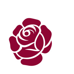 Rose flower vector