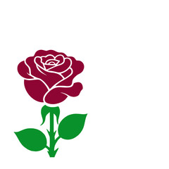 Rose flower vector