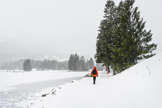 Lenzerheide, Valbella, Heidsee, Bergsee, Uferweg, Wanderweg, Winterwanderung, Wanderer, Winterlandschaft, Seeufer, Alpen, Wald, Tannen, Eis, Schnee, Schneefall, Winter, Graub&uuml;nden, Schweiz