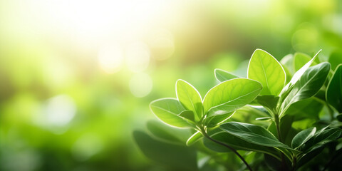 Close-up of a plant with green leaves and blurry background, nature, Generative AI