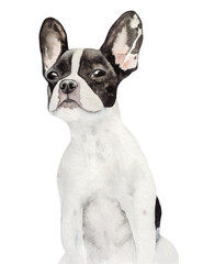 Lovely puppy. Beautiful watercolor drawing. Isolated background. Close-up, indoors. Concept of care, education, obedience training and raising pets