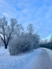 Obraz na płótnie Canvas Winter park, snowy winter city park 
